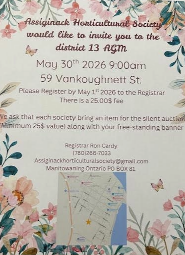 Event Posters