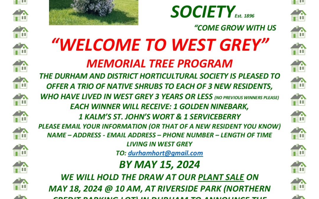 Welcome to West Grey “Tree” Draw