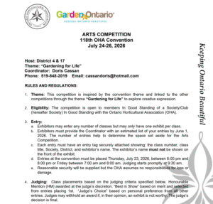 2026 Arts Competition thumbnail