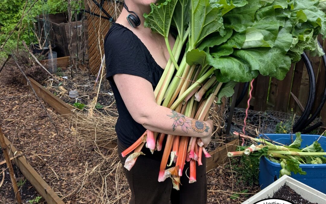 Schomberg Horticultural Society – Carly McDougall “Sustainable Garden Hacks”