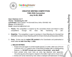 Creative Writing Competition