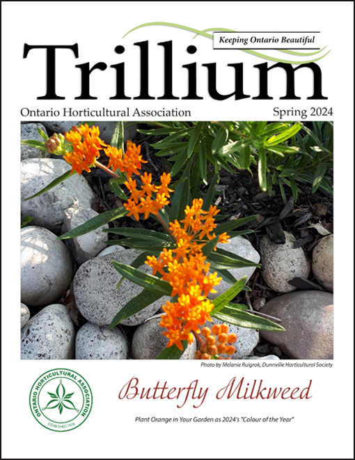 Spring 2024 Trillium cover