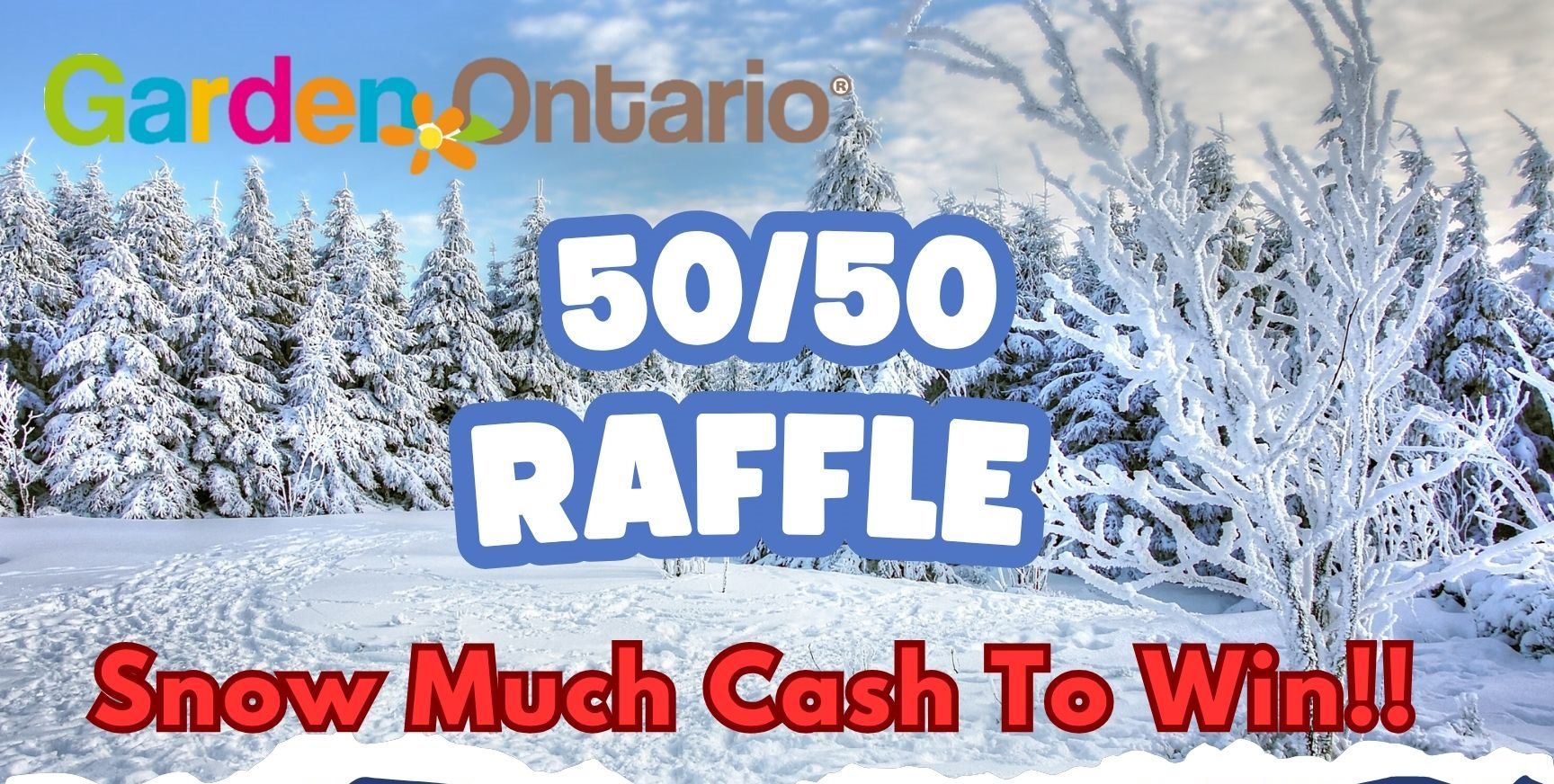 December 50/50 Draw