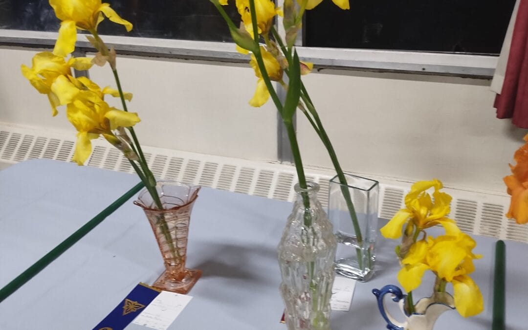 Agincourt Garden Club + Tony Snider present What’s New in Hostas