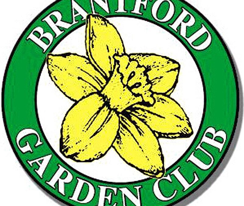 Brantford Garden Club    …..presentation & demo by Paul Zammit