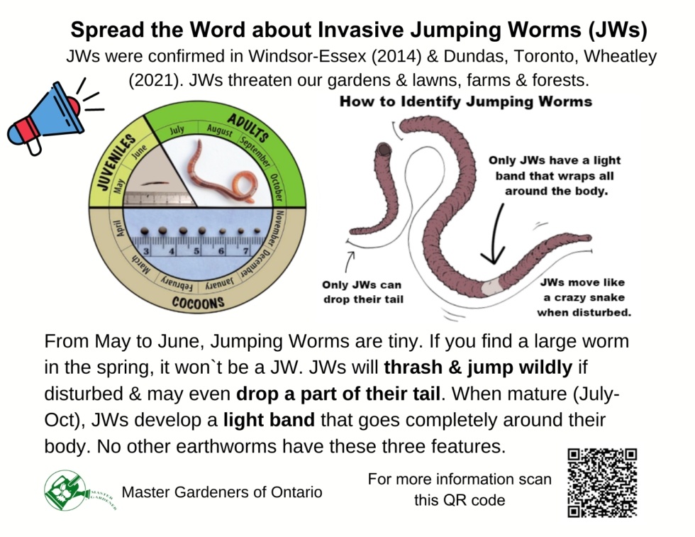 Jumping Worms » GardenOntario