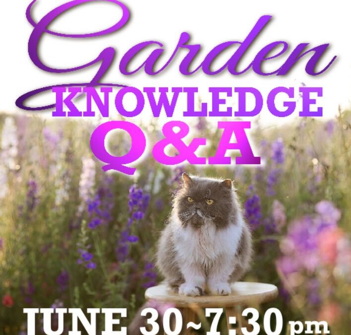CHS June Meeting: Garden Knowledge-Q&A
