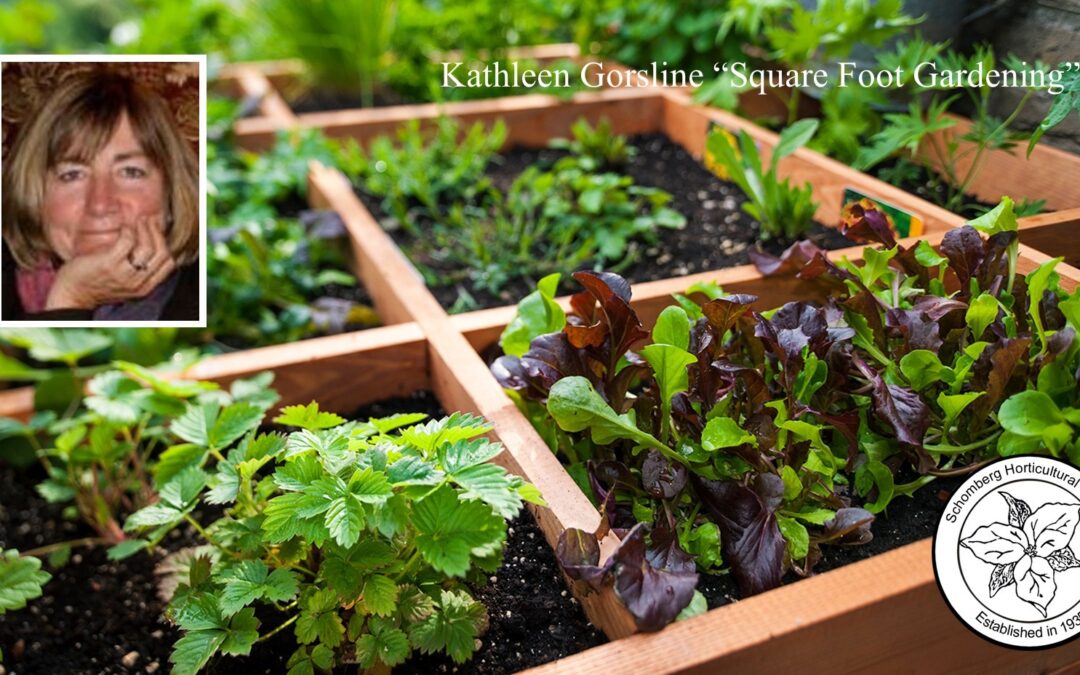 Schomberg Horticultural Society – Kathleen Gorsline “Square Foot Gardening”