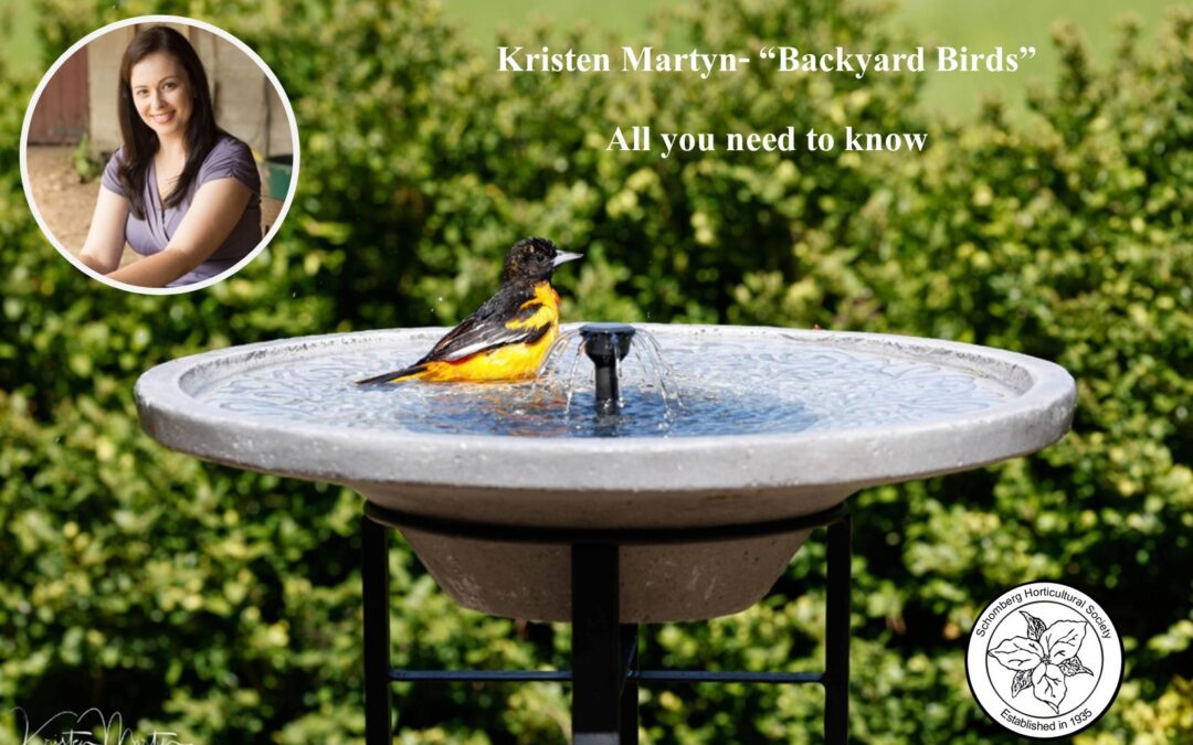 Schomberg Horticultural Society – Kristen Martyn Backyard Birds