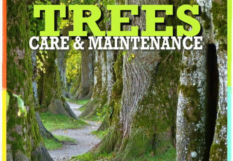 CHS May Meeting & Flower Show: TREES-Care & Maintenance