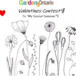 GardenOntario's Valentines contest - to my special someone #2