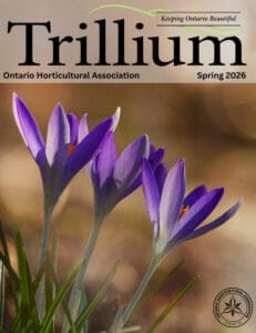 Trillium Spring 2026 cover