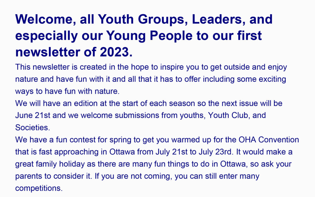 Spring Youth News Letter