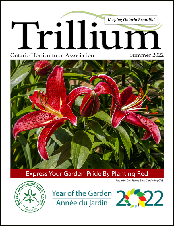 The Summer Issue of Trillium is here!