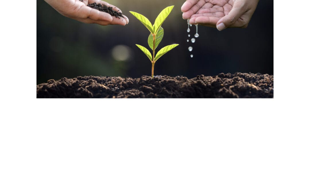 Woolwich Gardeners June Speaker