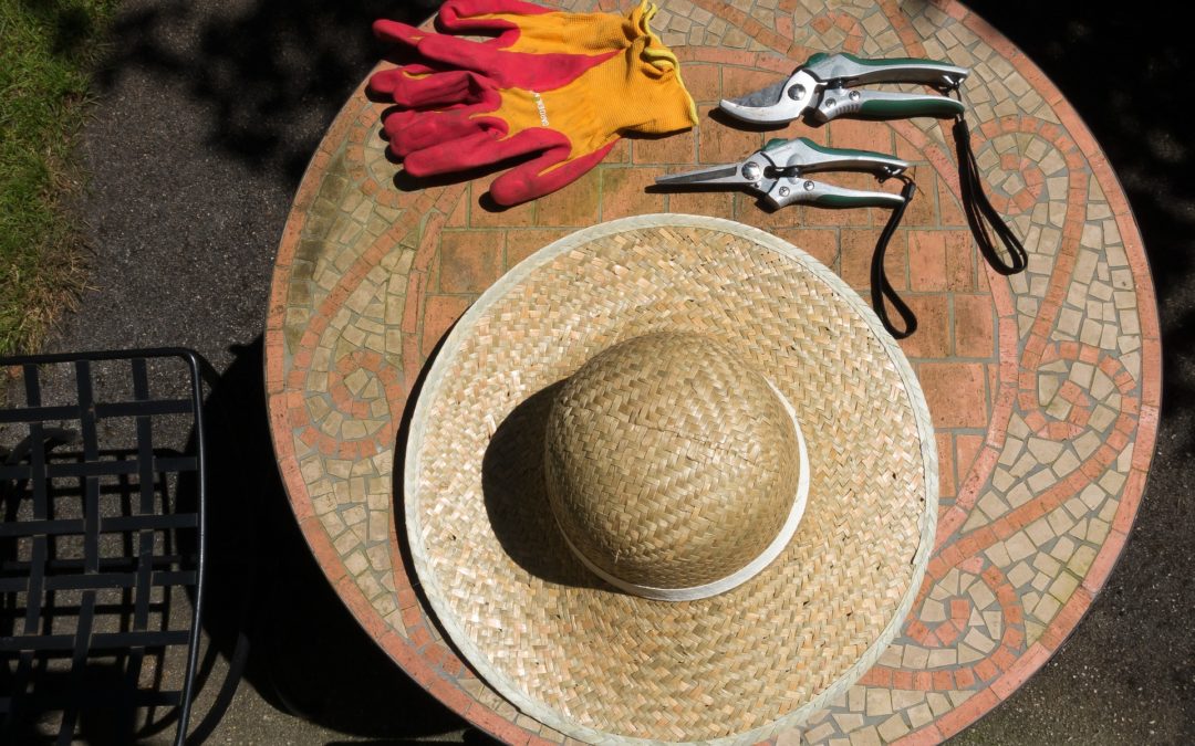 pruning tools needed include sun hat, gloves, and pruning shears