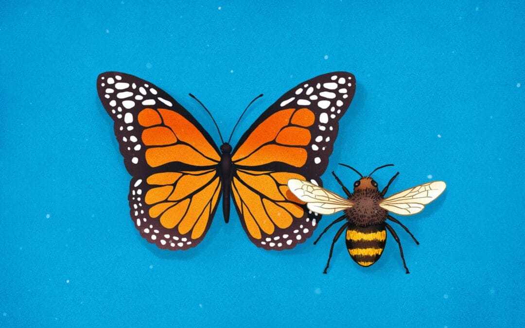 Pollinators and the Plants They Favour