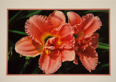 oha notecards, lily design