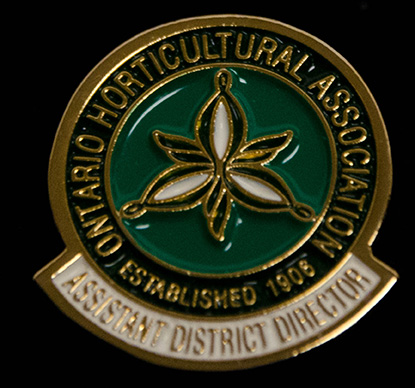 service pin, assistant district director
