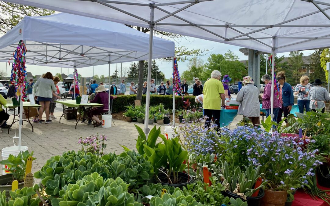 Niagara on the Lake Horticultural Society Plant Sale