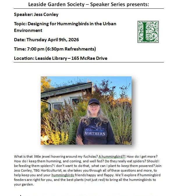 Designing for Hummingbirds in the Urban Environment