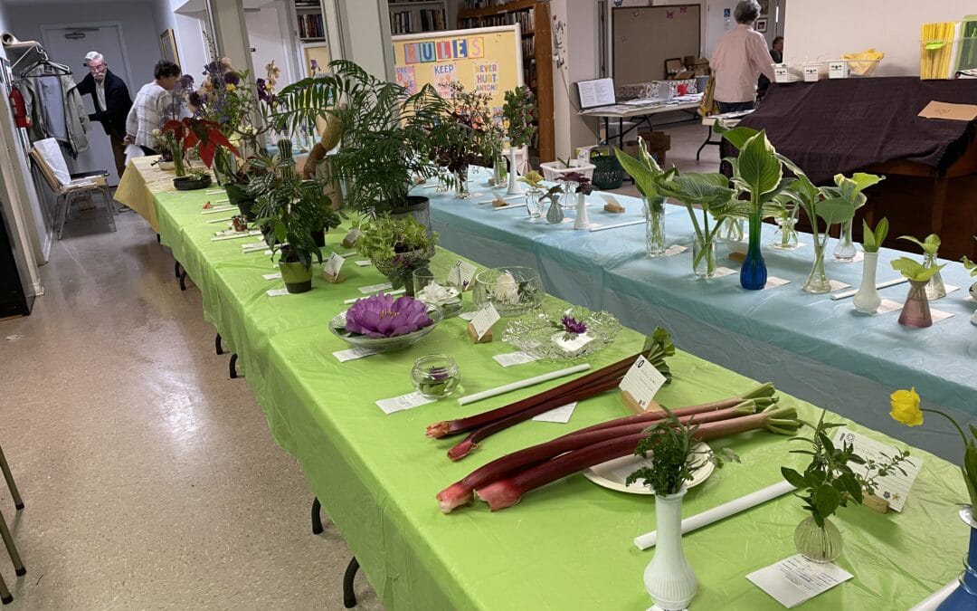 Spring Flower Show