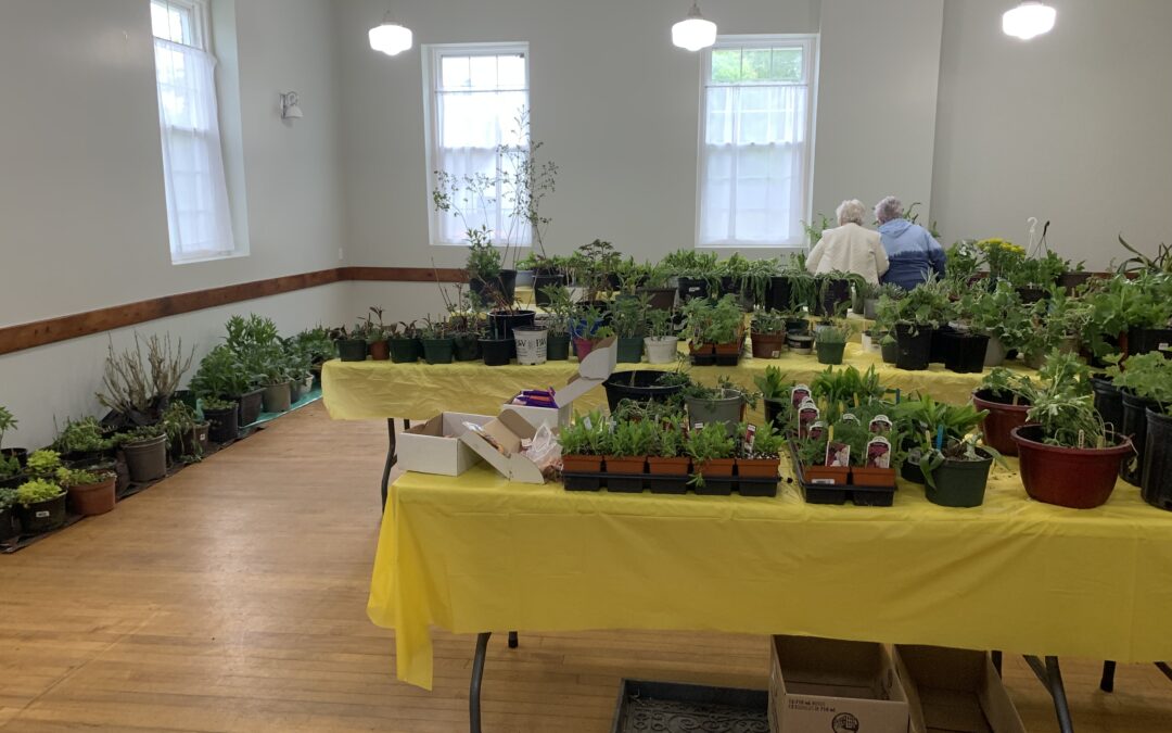 Brentwood Horticultural Society Plant Sale