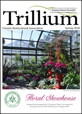 2020 Trillium Spring Issue