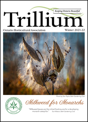 OHA Trillium Newsletter Winter Issue 2021-22