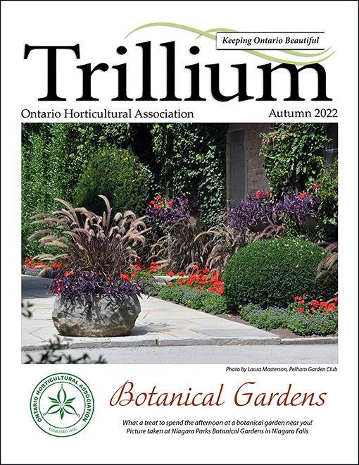 The Autumn Issue of Trillium is here!