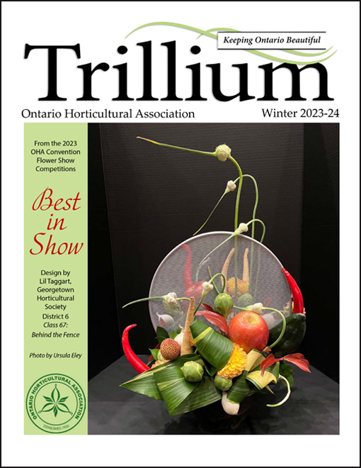 Trillium Winter 2023-24 cover