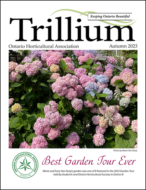Autumn 2023 Issue of Trillium now available!