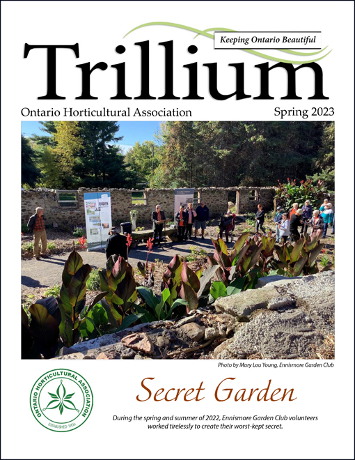 The 2023 Spring Issue of Trillium is here!