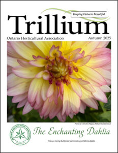 Trillium Autumn 2025 Issue