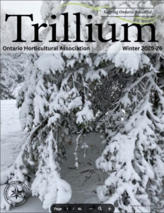 Trillium Winter 2025-26 cover